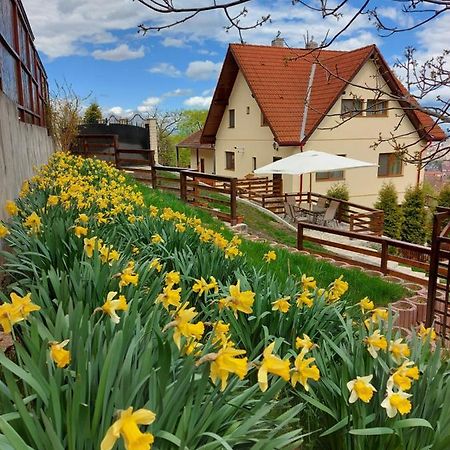 Apartament Matei Braşov Exterior foto