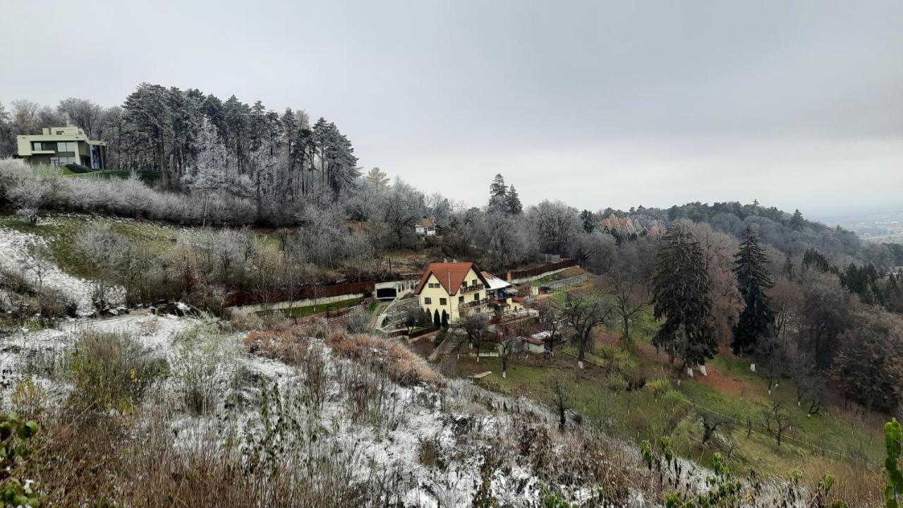 Apartament Matei Braşov Exterior foto