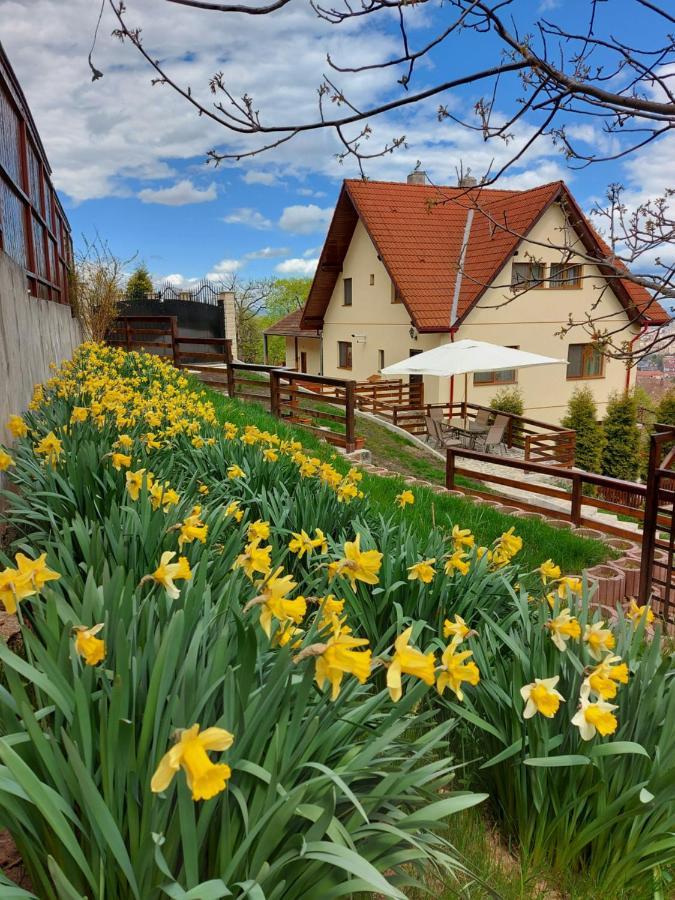 Apartament Matei Braşov Exterior foto