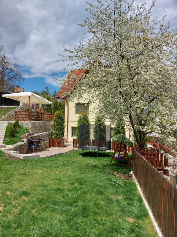 Apartament Matei Braşov Exterior foto